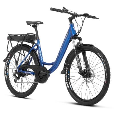 China Customized Freesky 48v 250w aluminum alloy adult e bicycle mountain bike electric electric bike manufacturer direct sales for sale