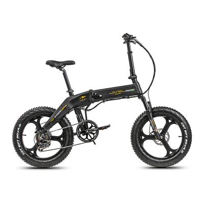 China Aluminum Alloy Most Popular 48V 350W 20Inch Fat Tire Folding Bike Frame For Sale for sale