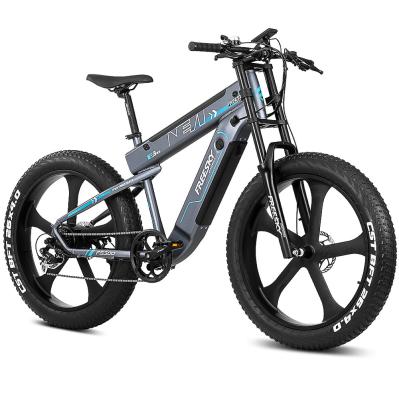 China Aluminum alloy popular fat tire electric bike fat tire e bike with dual battery and lcd display 26