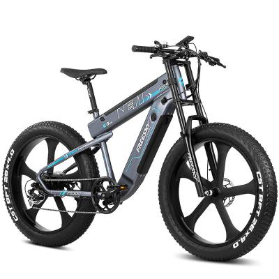 China FREESKY Fat Tire E Bike 500W 48V Aluminum Electric Bicycle Ebike MTB Aluminum E-Bike With M500E Dual Batteries for sale