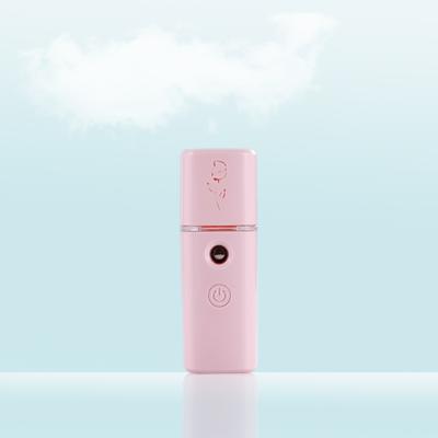 China Factory Made Wholesale Mini Facial Humidifier 30ml Electric Nano Jet Humidifier Facial Device for sale