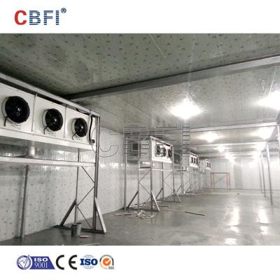 China Double-temperature Commercial Flower Fruit Fish Flesh Seafood Vegetable Cold Storage Room Warehouse for sale