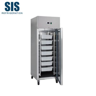 China CFC Free Foaming Commercial Refrigeration Material Stainless Steel Solid Door Post Cooler Fish Fridge Depth 810 One for sale