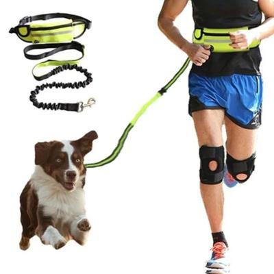 China Stocked Dog Pull Rope White Cards Leash With Waist Bag Pull Dog Running ElasticBelt Retractable Reflective Harness Dog Supplies for sale