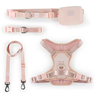 China Wholesale Stocked Dog Harness Vest Set Adjustable Advance Soft Padded Pet Harness with Collar and Leash for Small Medium Large Dogs for sale