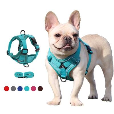 China Personalized Spring And Summer Polyester Breathable Mesh Cats And Dogs Chest Back Pet Leash for sale