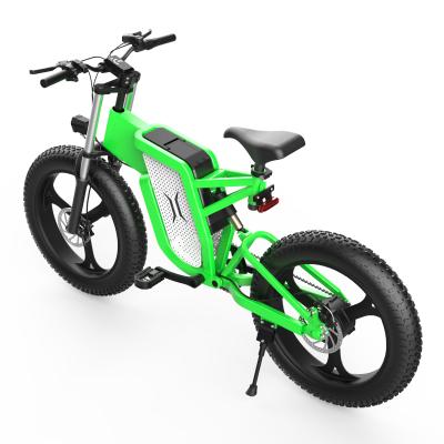 China Factory 48V Aluminum Alloy ODM/OEM 500w Lithium Battery 20in Motor Foldable Other Electric Bicycles Electric Bicycle Ebike Parts for sale