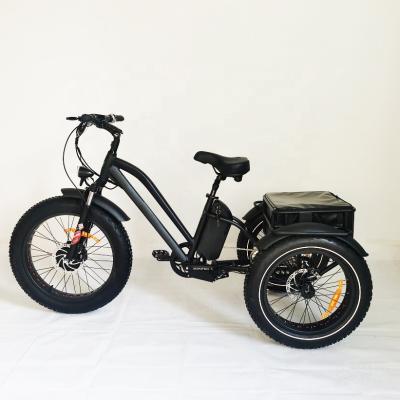 China Factory sales 24inch aluminum alloy fat tire electric tricycle motor electric mountainbike 3 wheel front electric snow bike for adult for sale