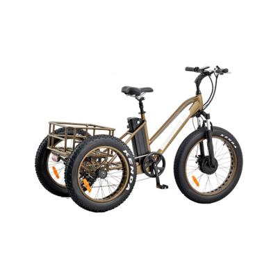 China 2020 good quality 3wheel drive tricycle aluminum alloy hot sale 24inch electric bike e tricycles 750w fat hot front tire for sale