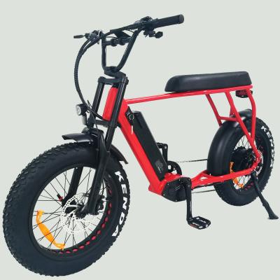 China Hot sales aluminum alloy 20inch electric bike 48v750w motor drive electric bicycle fat tire rear mountain ebike for sale