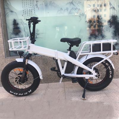 China New design 20inch aluminum alloy big double tire front and rear cross country ebike doule motor dual motor e bike 48v for sale