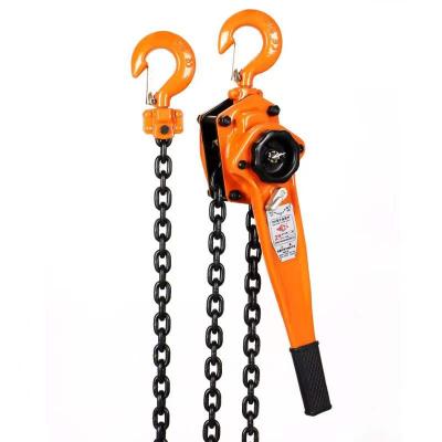 China Hotels Traction Elevator Mini Portable Lift Crane Gear Praise for sale