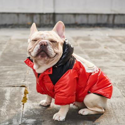 China Stocked Newly Design Cotton Luxury Fashionable Clothes Winter Cat Warm Pet Dog Down Jacket for sale