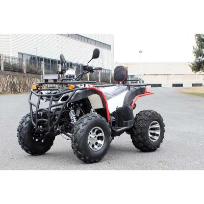 China New Design Wholesale Custom Cheap High Speed ​​Adult ATV Crash Resistant Safety ATV 10