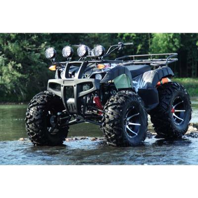 China All Terrain Farm Recreation ATV Four Wheel Adult Offroad Motorcycle 12