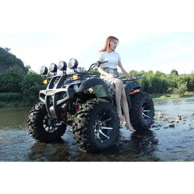 China Wholesale Hot Sale High Quality Professional High Quality Quad ATV Terrain Motorcycle ATV 12