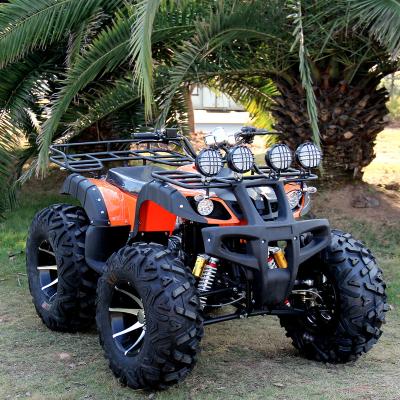 China dual ATV mountain four wheel offroad four wheel ATV 12