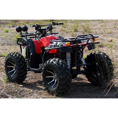 China New Hot Selling Buggy Adult Premium Quad Atv 4x4 12