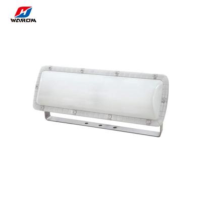 China Warom 25W 36W Railway Tunnel Flood Lights Waterproof Flood Light For Road Tunnel for sale