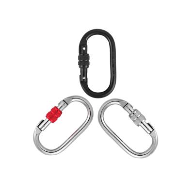 China Alloy Steel Outdoor Professional Climbing Carabiner for sale