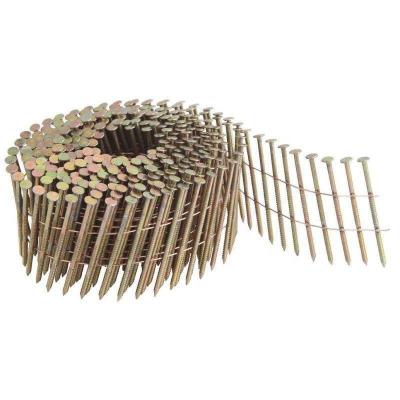 China Flat High Quality Galvanized Roofing Screw Coil Nail Products for sale