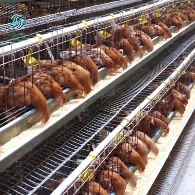 China Automatic Durable Poultry Chicken Battery Layer Cage for sale