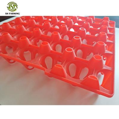 China Solid And Durable Plastic Egg Tray Biodegradable Egg Tray 30 Cell Molded PP Packaging Tray for sale