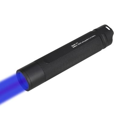 Κίνα 3w 365nm Nichia RichFire High Power USB NDT UV Led Flashlight 365 Nanometer Blacklight Torch 365nm LED Rechargeable Instant Light UV Flashlights προς πώληση