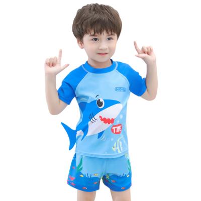 China Baisheng Newest Boy QUICK DRY Swim Trunk High Quality Manufacturer OEM Breathable 3D Ink Print Swimming Set For Kid for sale