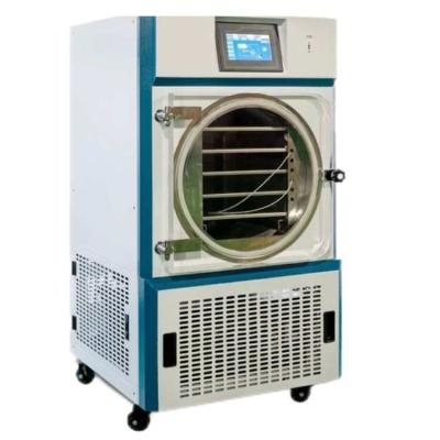 China Effortless Preservation with Tabletop Freeze Dryer for Your Favorite Foods for sale