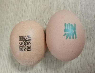 China Handheld Type Egg Inkjet Printer Thermal Foaming Spray With Fast Dry Ink Cartridge for sale