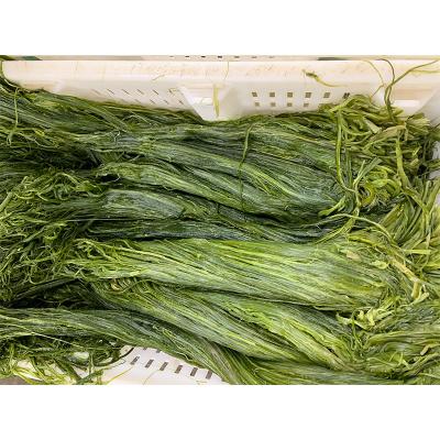 China FROZEN Japan Seaweed Raw Material Wakame Salted Fresh Organic Seaweed Stem Shredded for sale