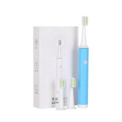 China USB Rechargeable Replaceable Brush Head Adult Automatic Cheap Electric Toothbrush for sale