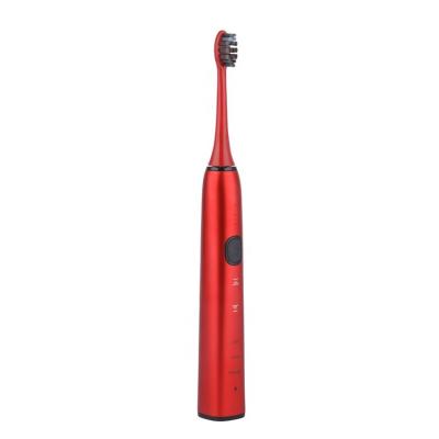 China Battery Operated Silent Design Deep Cleaning Servicing Erasers Smart Automatic Ultrasonic Toothbrush for sale