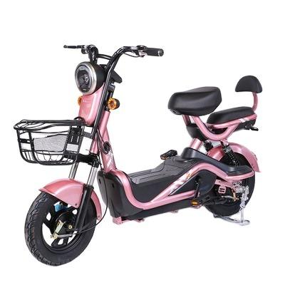 China WOSU Electric Bike 350W 48V/12AH Steel Electric Bike 2 Wheel Electric Bike for sale