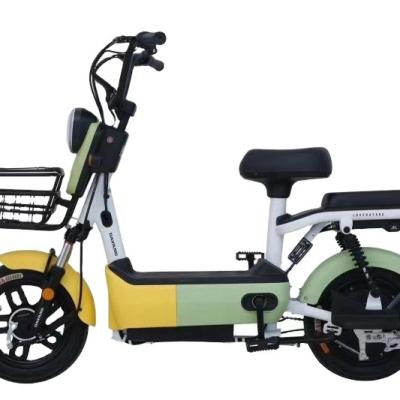 China New Model 14 Inch 48V 350W Steel Electric Bicycle Two Seat 48v 12a L Electric Bike for sale