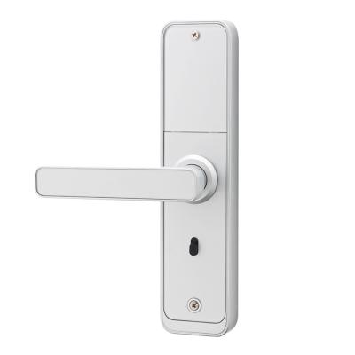 China Luxury Wholesale Electronic Fingerprint Smart Bag Home Tuya Face Mortise Cabinet Biometric Door Locks for sale