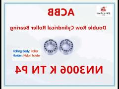 nn3006 k tn p4 double row cylindrical roller bearing
