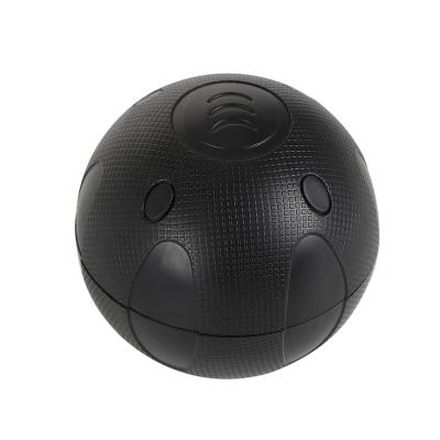 China Yoga massage ball Customization Fitness  Mini Body Massager Balls for sale