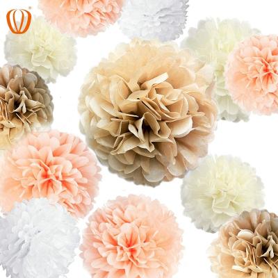 China Europe 20 Pcs Party Tissue Paper Pom Poms Set (14