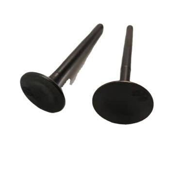 China Motorcycle intake and exhaust steel temperature-resistant metal scooter Xunying 125 Liying ZY125 motorcycle tire intake and exhaust valve for sale