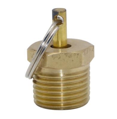 China ZM 1232 Brass Auto Truck Part Bleed Valve 1/2 NPT Relief Valve Brass Safety Valve for sale