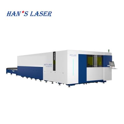 China SERVO-MOTOR Han Laser Industrial High Precision Fiber Laser Cutting Machine 6000X2000 for Dining Table Base Metal for sale