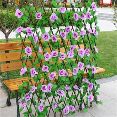 China Eco-friendly Materials Hot Sale High Quality Plastic Expandable Hedge Garden Fence for sale