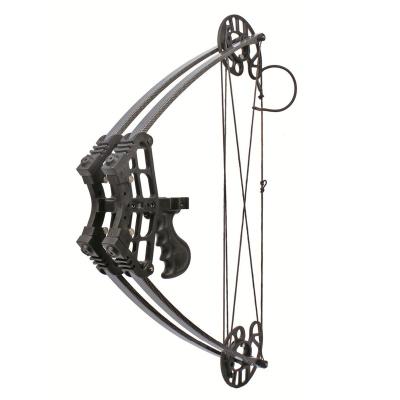 China Hunting Junxing M109 Hunting Fishing Triangle Compound Bow Set For Shooting for sale