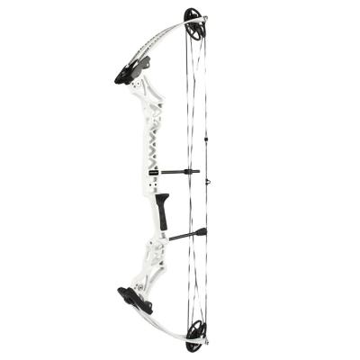 China Junxing M108 compound bow hunting for sale for sale