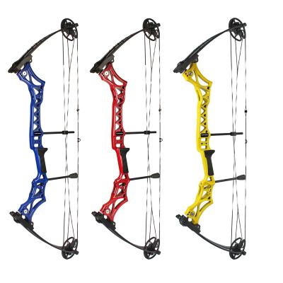 China Hunting Outdoor Hunting Bow Junxing M108 Compound Bow for sale