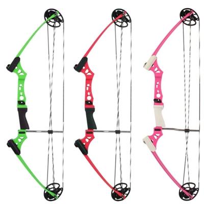 China Junxing J007 10-20lbs Compound Shooting Bow For Teenagers for sale