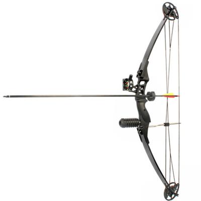 China Right hand M183 strong with 30-40lbs Junxing 300fps hunting compound bow for sale