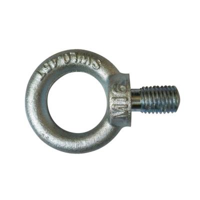 China Derrick Innovative Custom Concrete Eye Bolts Anchors Eye Nut for sale